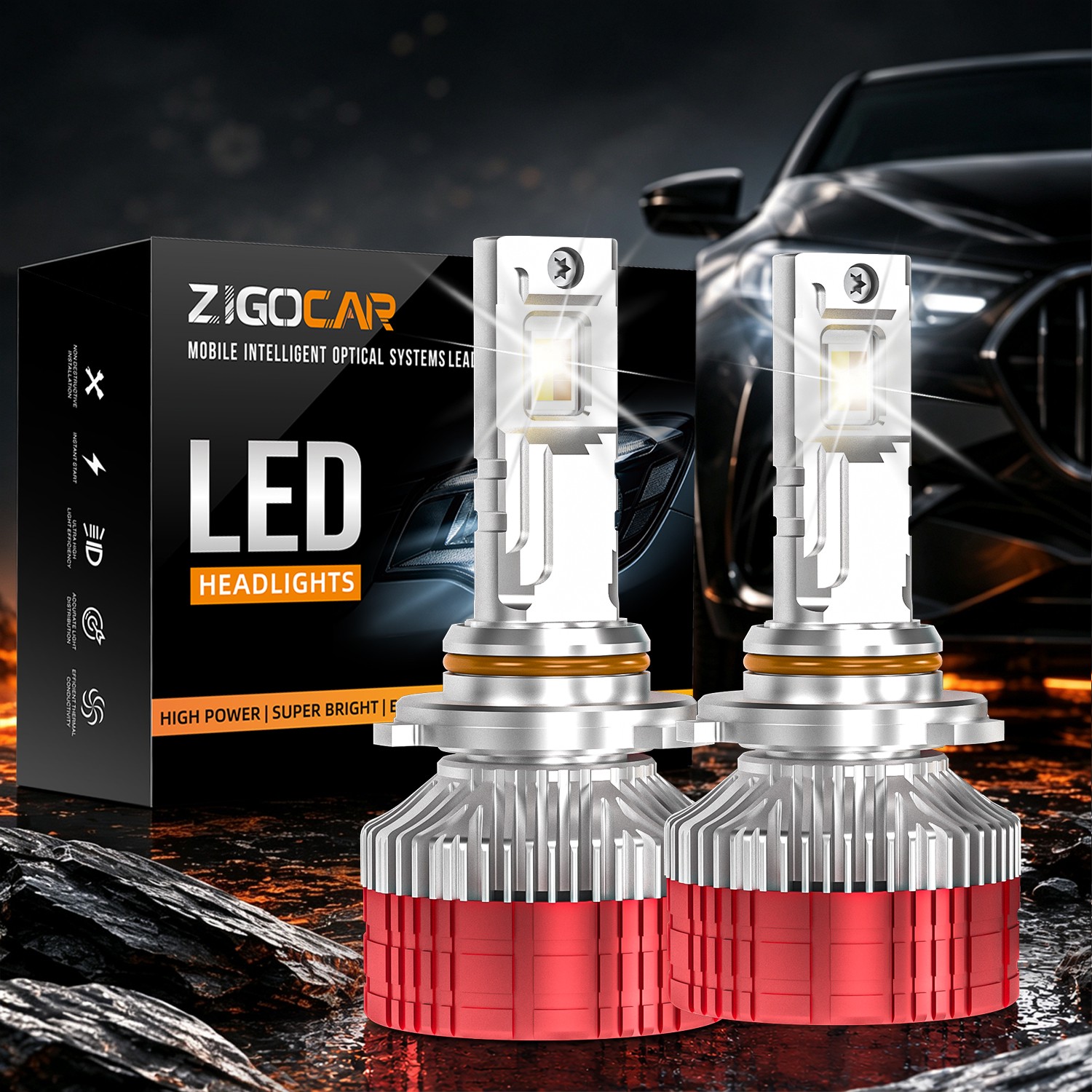 Z19