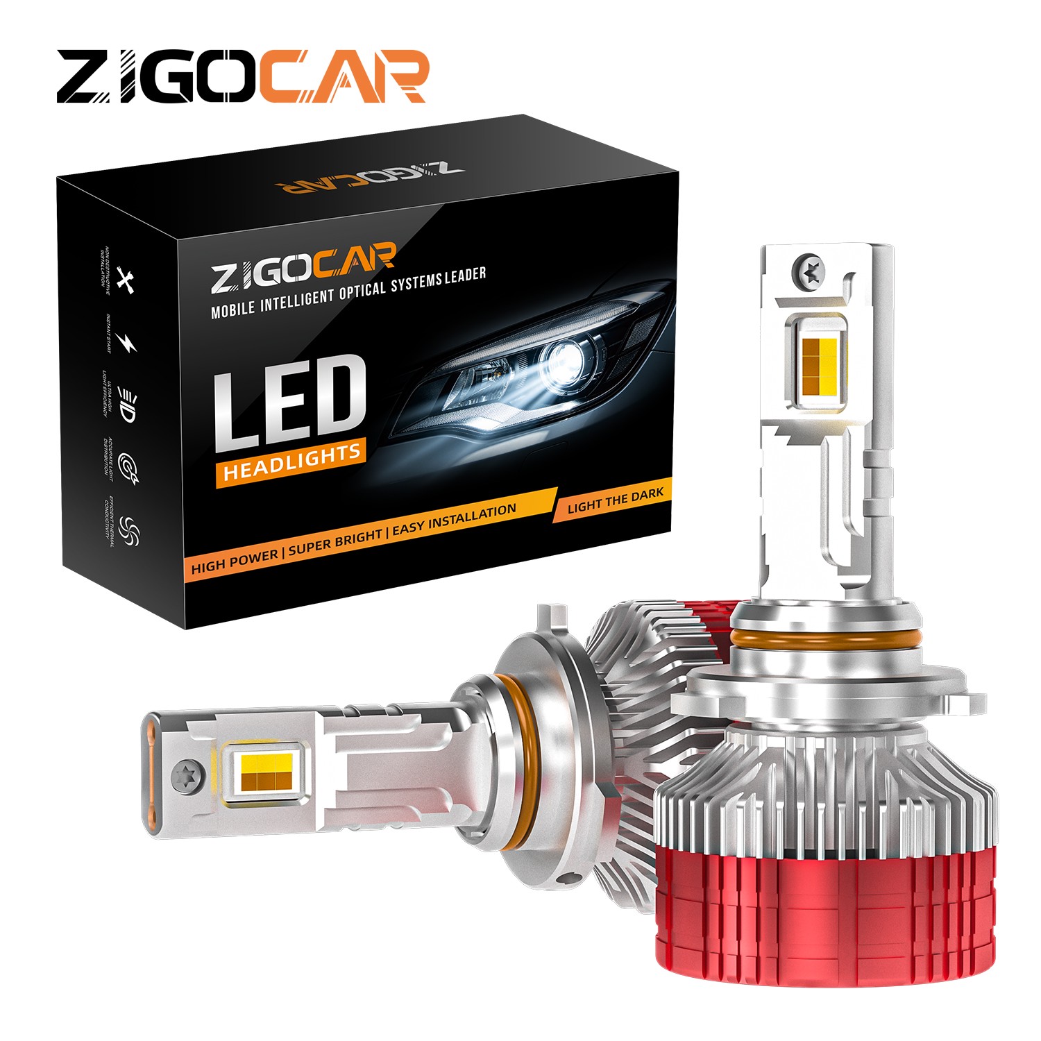 Z19