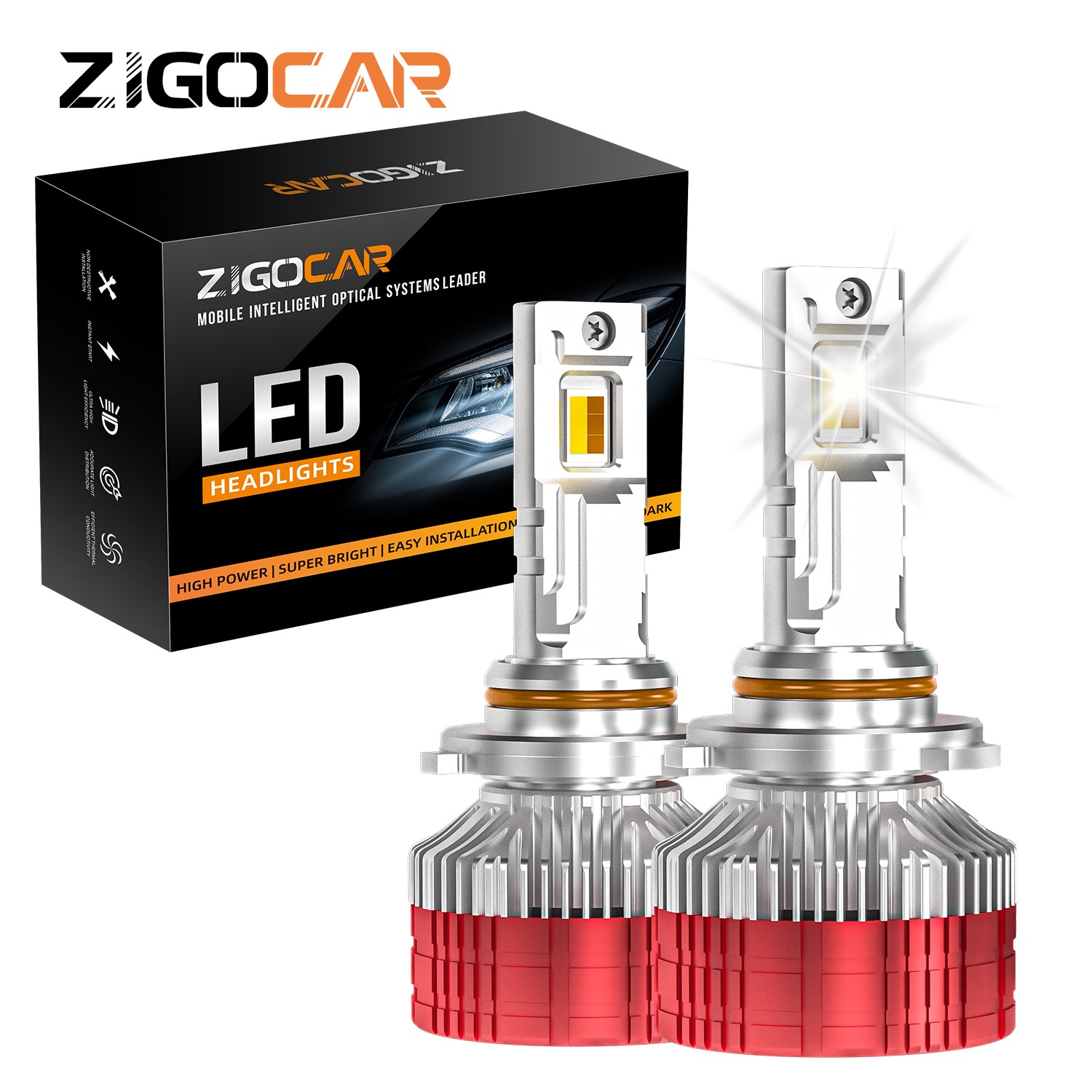 Z19