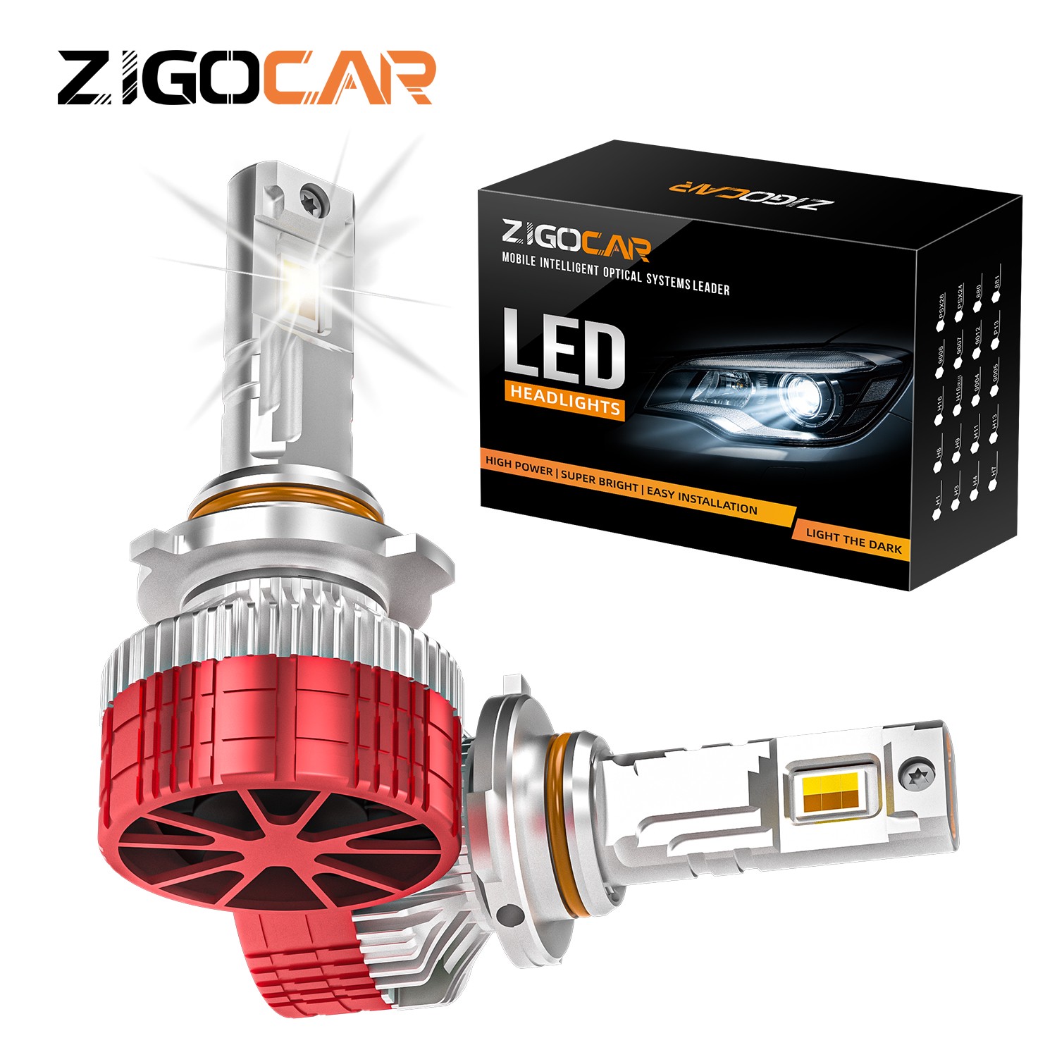 Z19