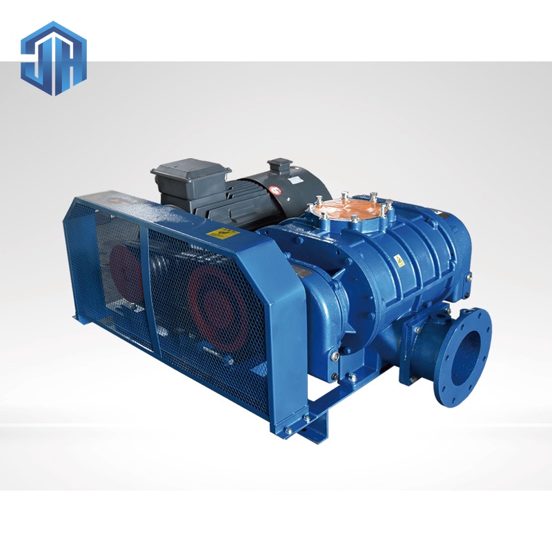 Roots Vacuum Pump