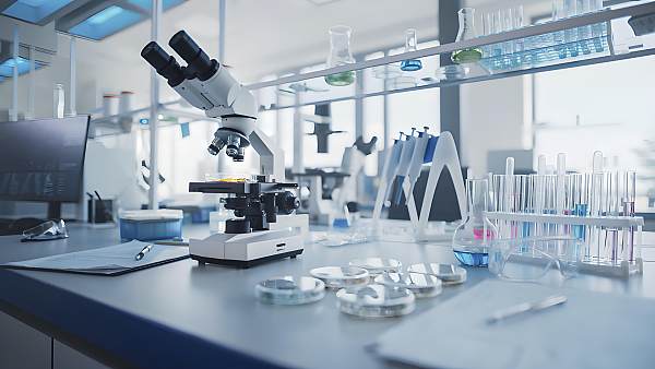 Die wirtschaftliche Entwicklung der petrochemischen Industrie wies im ersten Halbjahr sechs wesentliche Merkmale auf