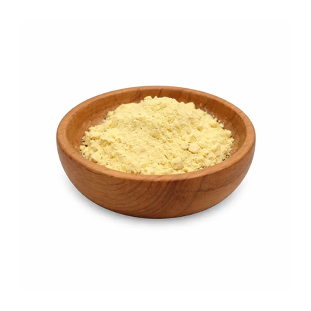 Ginkgo biloba extract CAS#90045-36-6