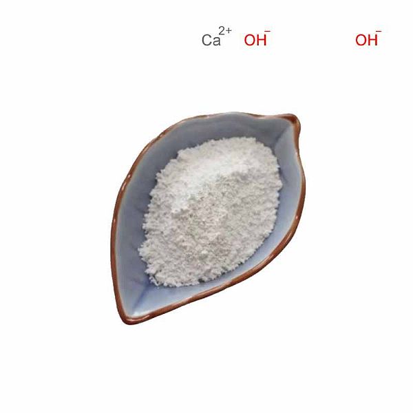 Calcium hydroxide CAS#1305-62-0
