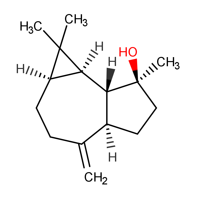 SPATHULENOL CAS#6750-60-3