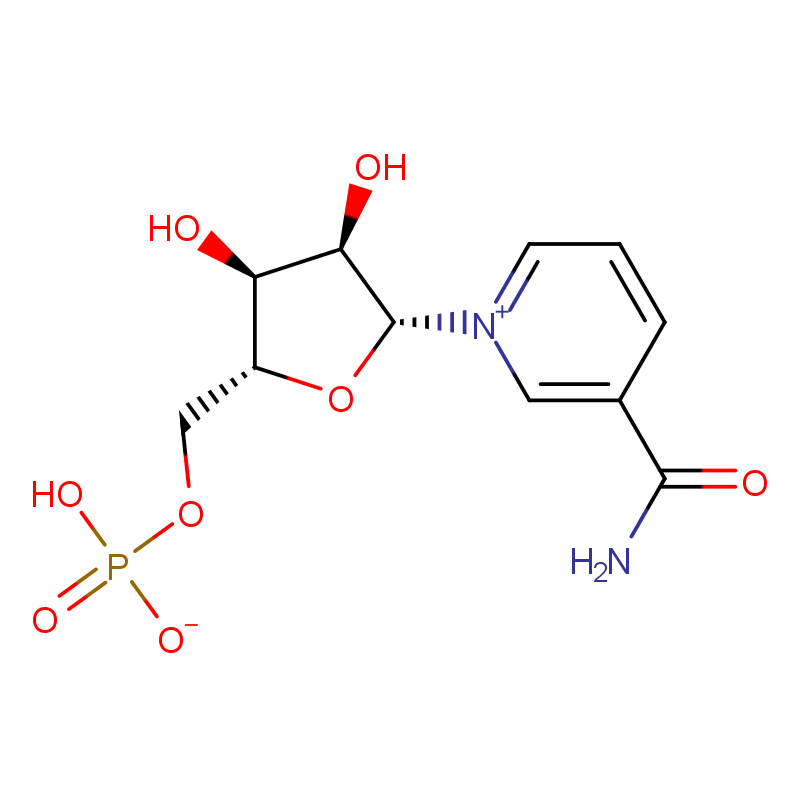 β-Nicotinamide Mononucleotide CAS#1094-61-7
