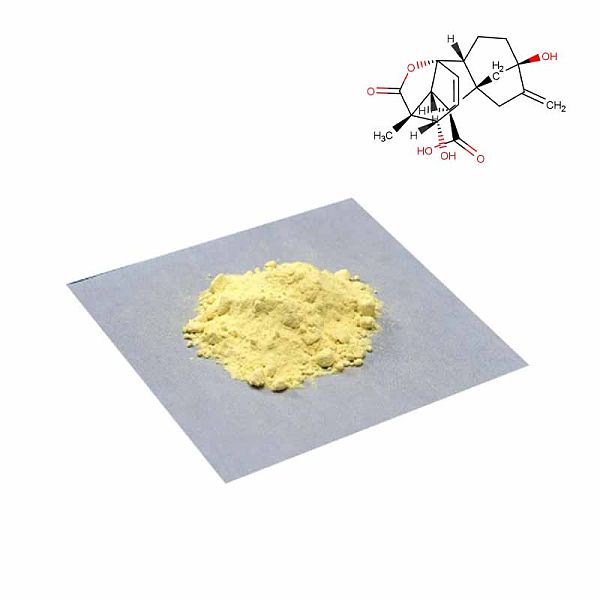 Ginkgo biloba extract CAS#90045-36-6