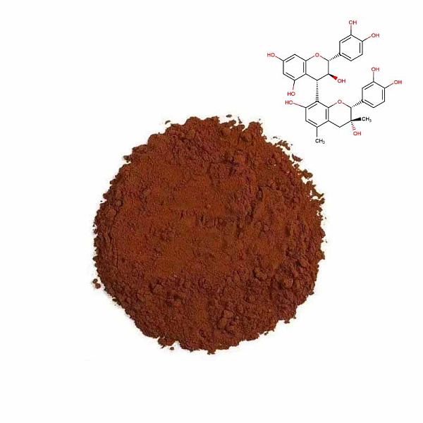 Grape Seed Extract CAS#84929-27-1