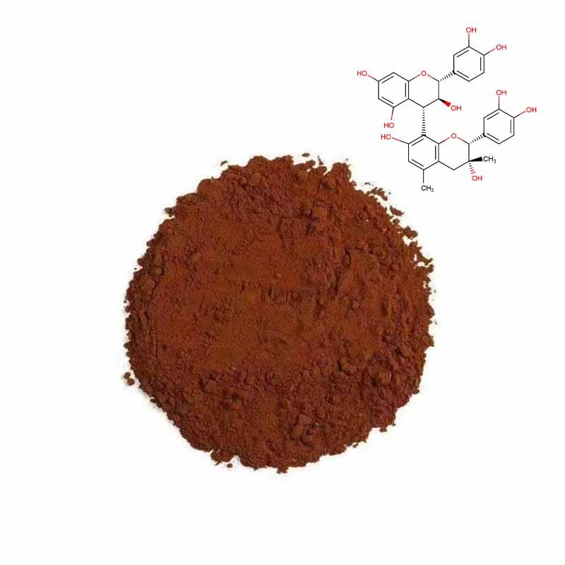 Grape Seed Extract CAS#84929-27-1
