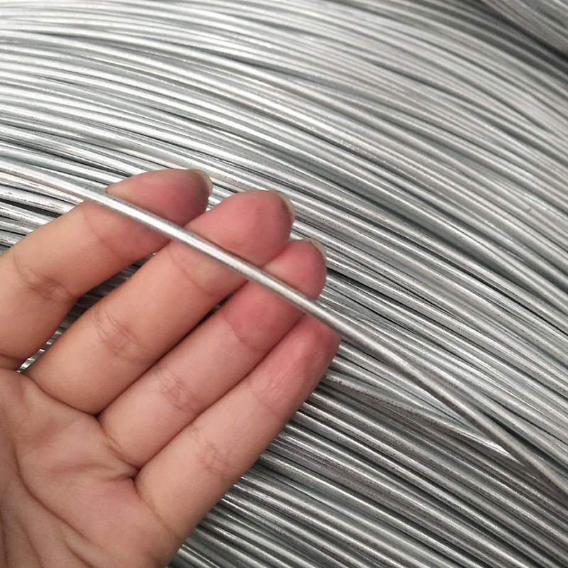 Galvanized steel wire