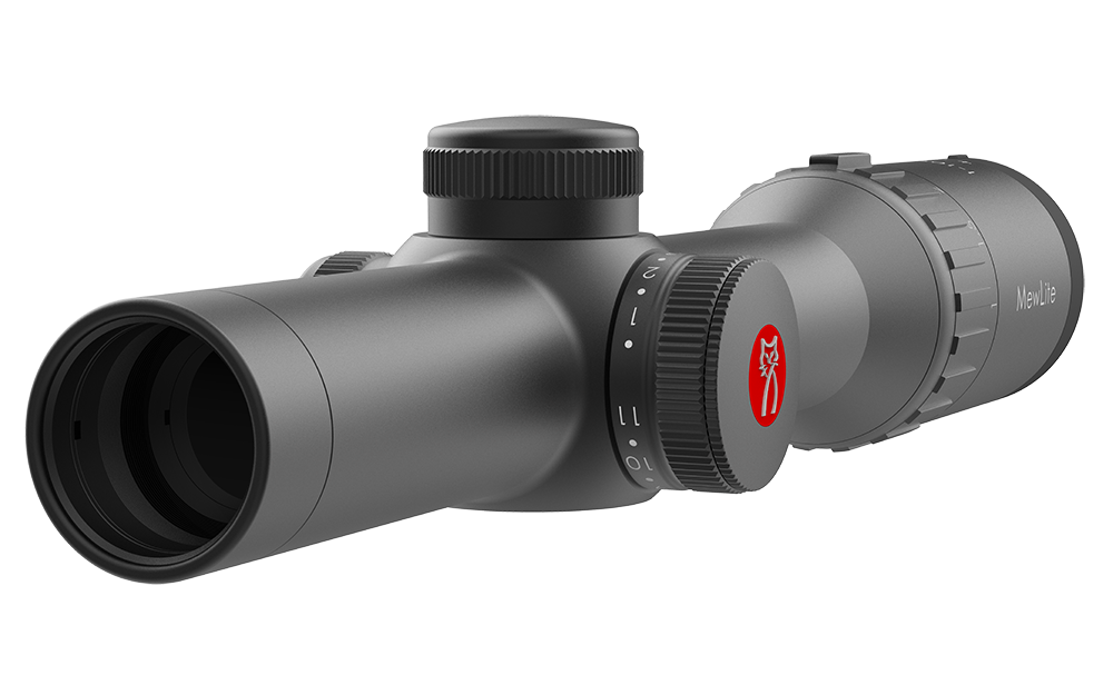 1-10x24 SFP