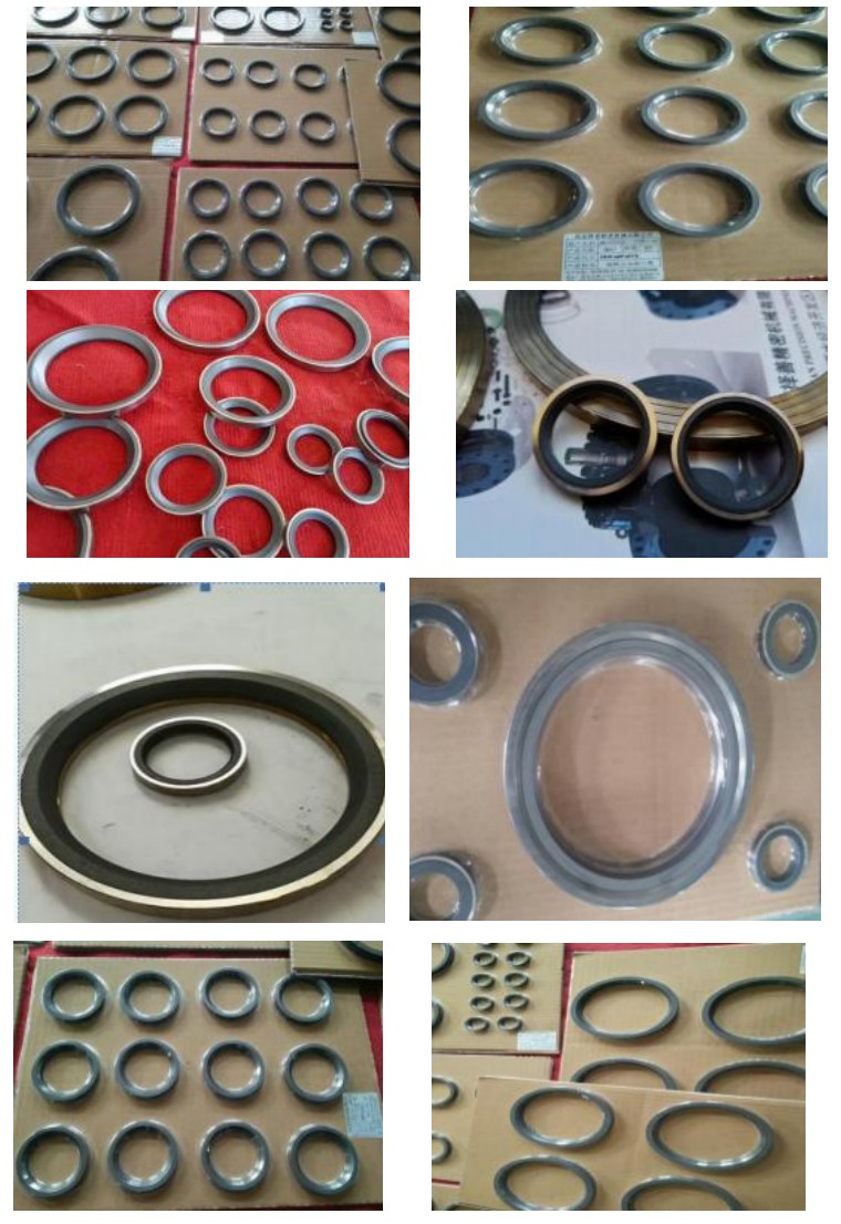 Carbon graphite sealing components