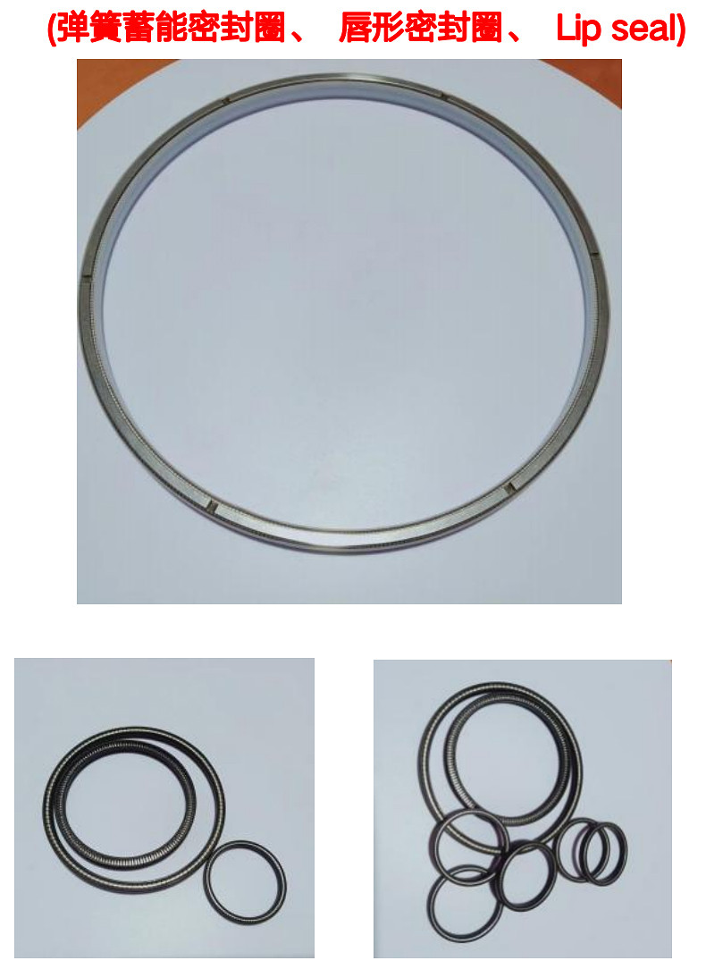 Spring-energized seal