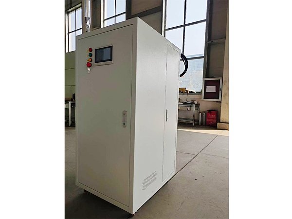 Ozone Micro-nano Purifier