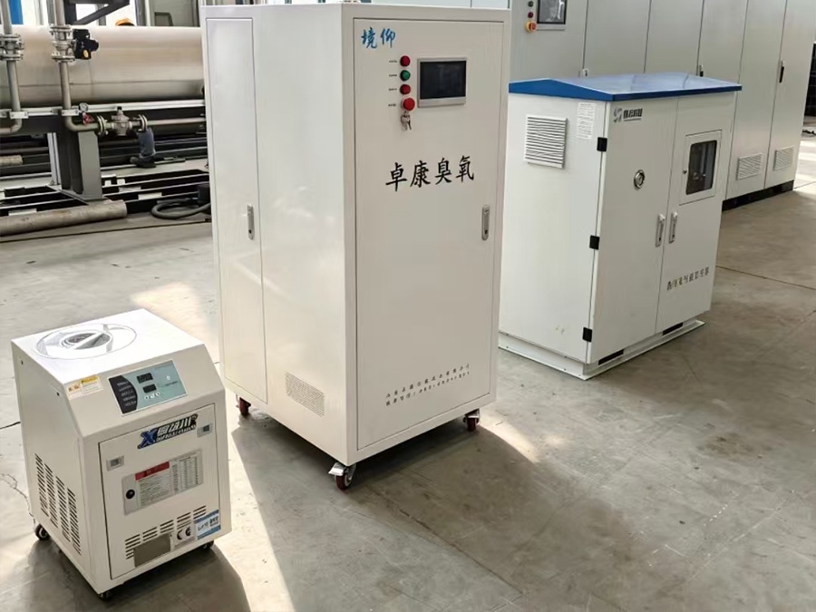Ozone Micro-nano Purifier