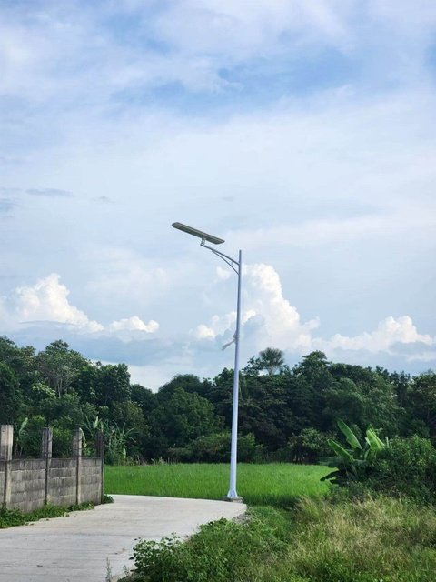 MAS project