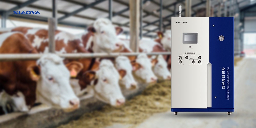 Un nouveau choix écologique pour l’élevage : l’acide hypochloreux devient le « gardien de la sécurité » de la désinfection du bétail