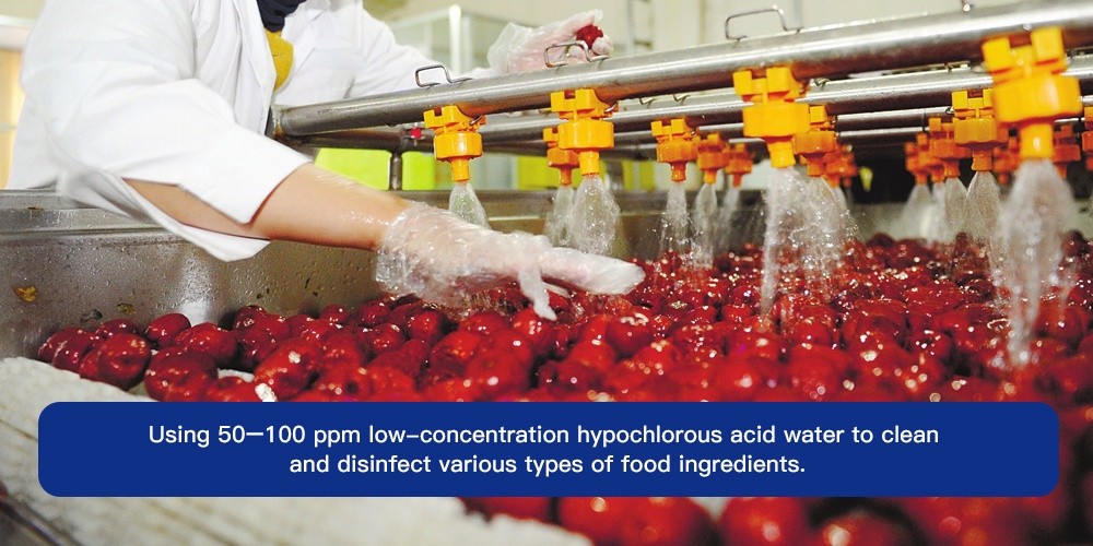 Générateur d’acide hypochloreux pour l’industrie alimentaire / sel de table (NaCl)