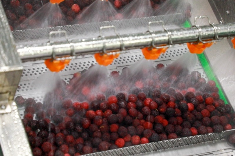 La technologie garantit la sécurité des fruits frais | Le générateur d’acide hypochloreux révolutionne le processus de trempage et de lavage des baies de myrica, réduisant les pertes, éliminant les résidus de pesticides et ne laissant aucun résidu