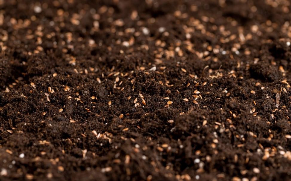La pulverización de riego para cultivos de invernadero impulsa la producción agrícola y permite aplicaciones ecológicas en múltiples escenarios.