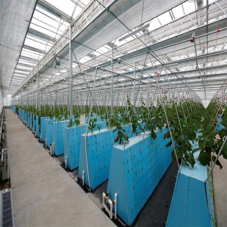 Investigación académica y práctica sobre el agua de ácido hipocloroso de cloruro de potasio electrolizado en el tratamiento de semillas y el cultivo de plántulas
