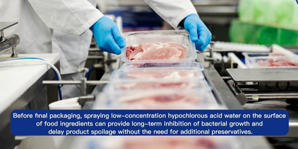 Generador de ácido hipocloroso para alimentos / sal de mesa (NaCl)