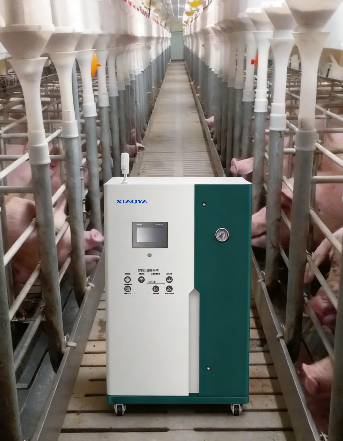 Imagen 1 Generador de ácido hipocloroso Xiaoya: una solución integral de desinfección para la cría de ganado y aves de corral — seguridad de grado médico que impulsa la ganadería moderna sin antibióticos
