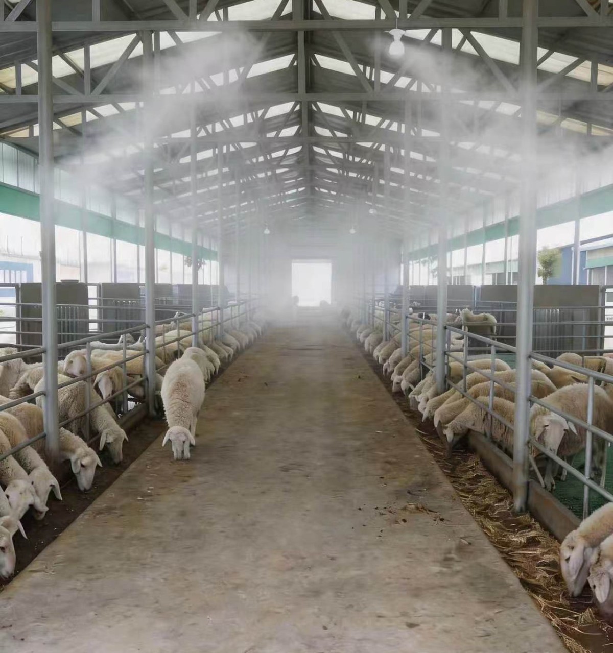 1 Generador de ácido hipocloroso Xiaoya: una solución integral de desinfección para la cría de ganado y aves de corral — seguridad de grado médico que impulsa la ganadería moderna sin antibióticos