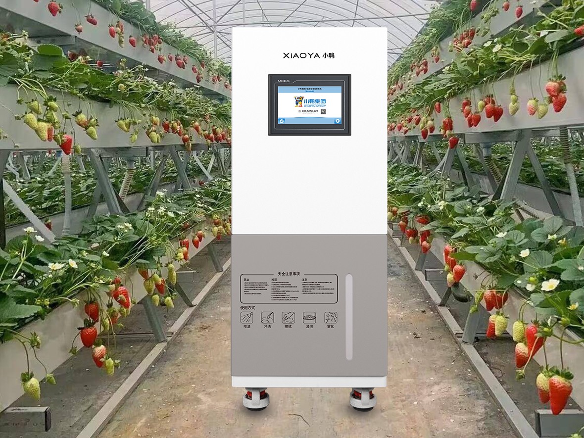 La tecnología de ácido hipocloroso impulsa la industria de la fresa: mejora de la calidad y la eficiencia