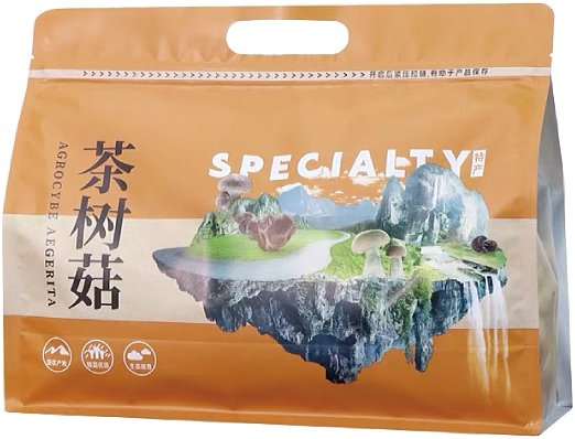 h1 - 副本 (3)