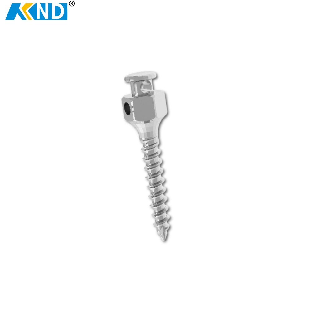 HS Mini Screw