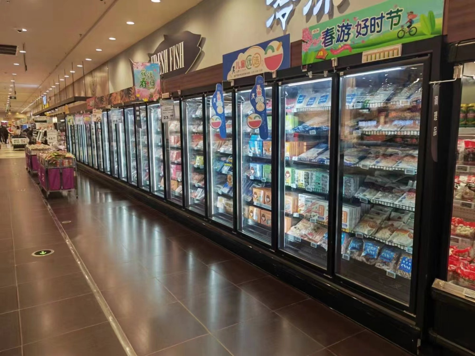 Vertical Glass Door Freezer