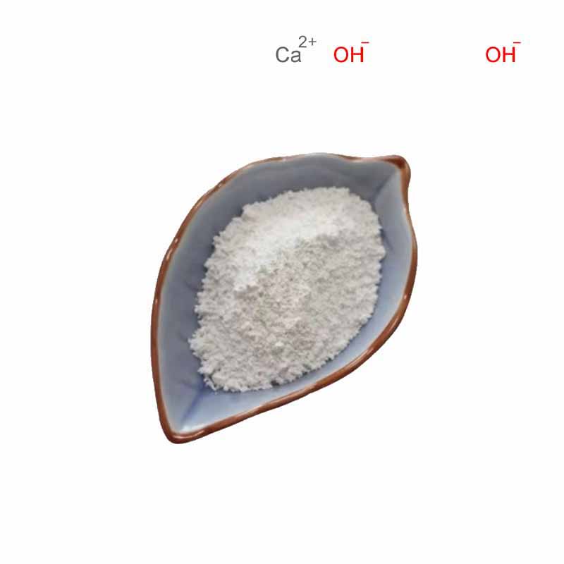 Calcium hydroxide CAS#1305-62-0