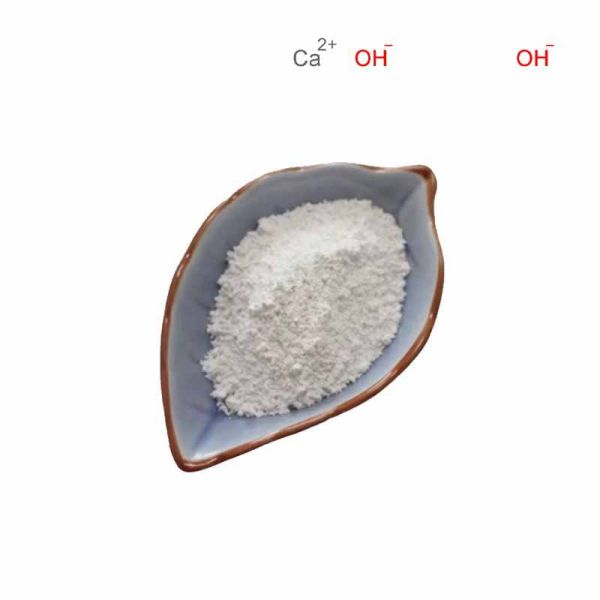 Calcium hydroxide CAS#1305-62-0