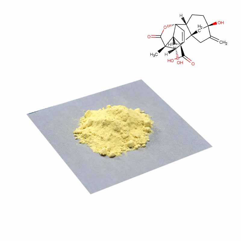 Ginkgo biloba extract CAS#90045-36-6