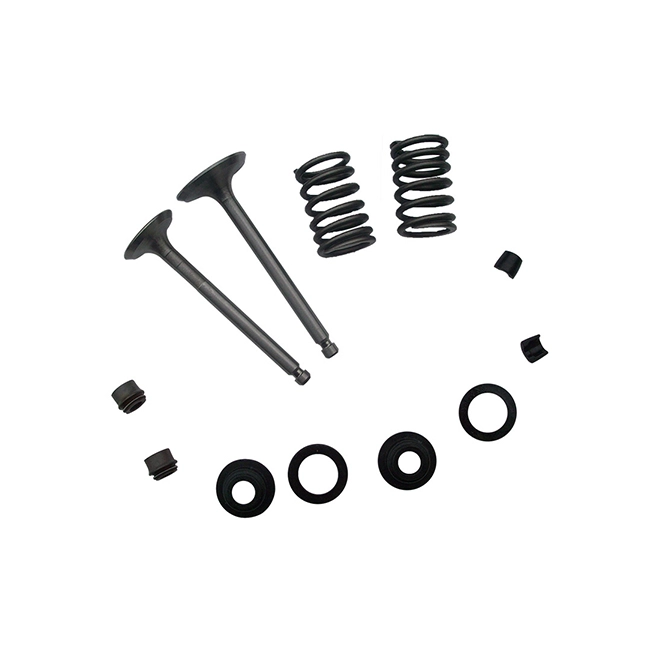 Intake & Outlet Valve With Accessory