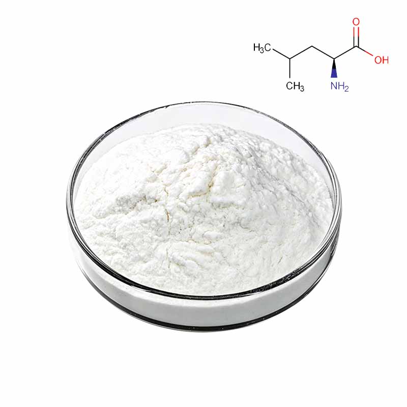 L-Leucine CAS#61-90-5 L-Leucine CAS#61-90-5