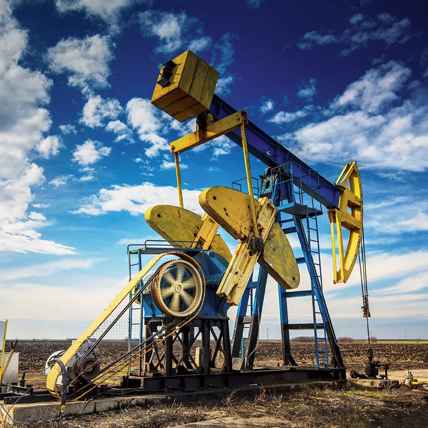 Petroleum Sector