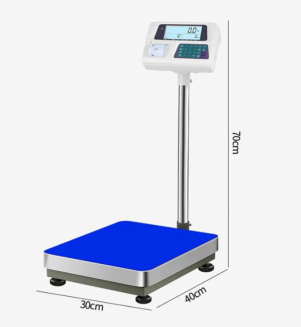 Platform Scale