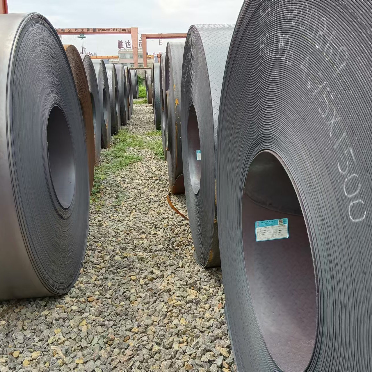 DC01/DC02/DC03/DC04/DC05/DC06 Cold Rolled Steel Coil