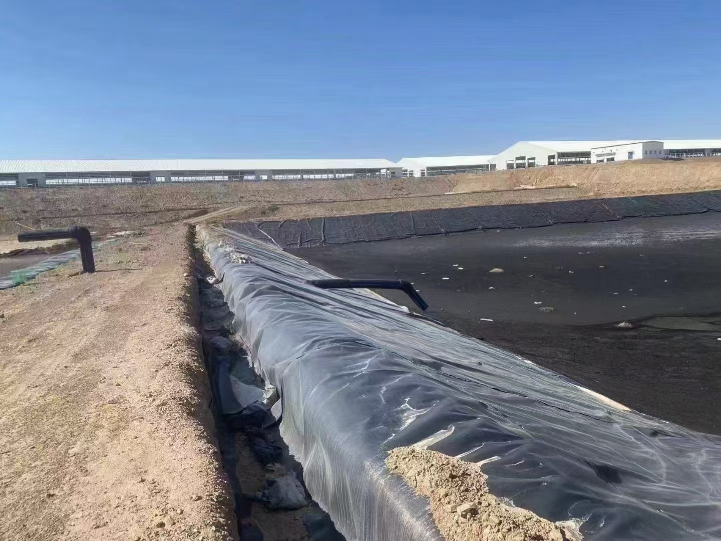 HDPE Geomembrane