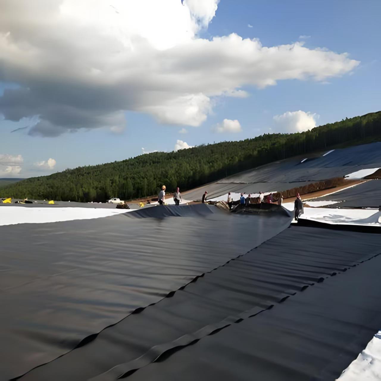 HDPE Geomembrane