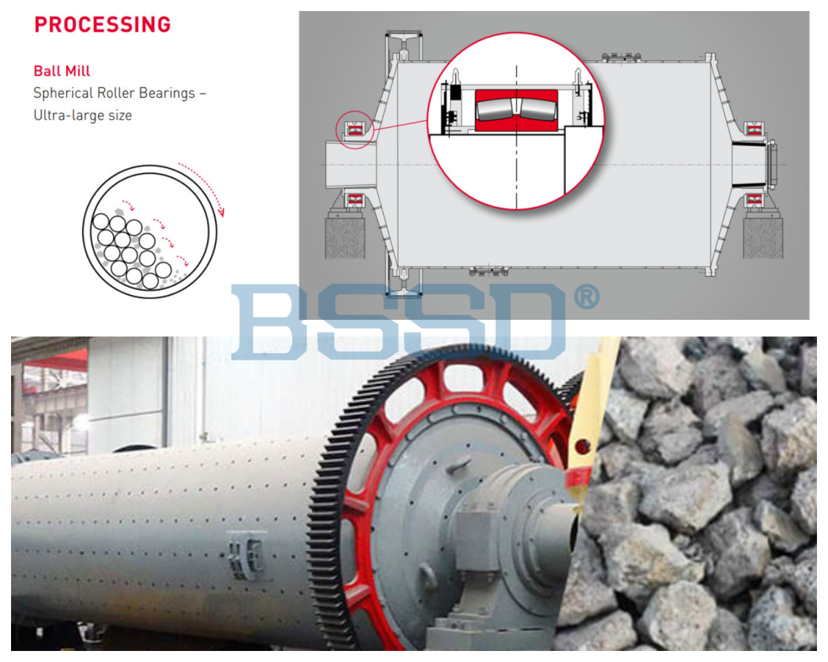 QQ_1773393000867_副本