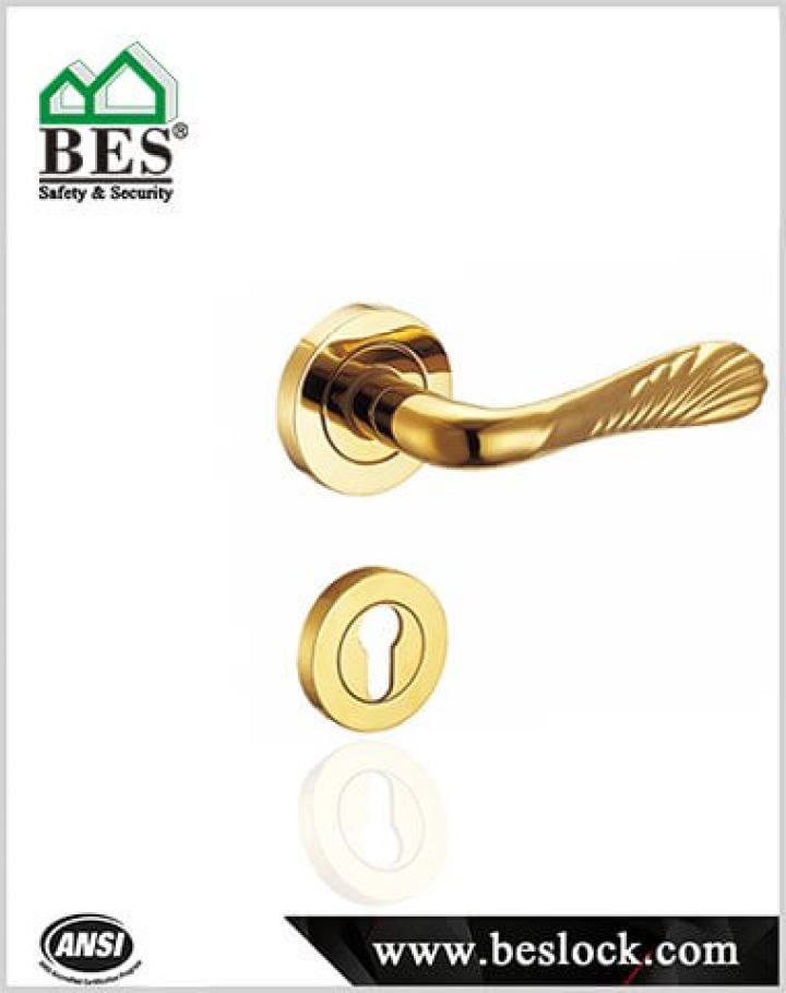 gold internal door handles