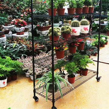 plant stands.jpg