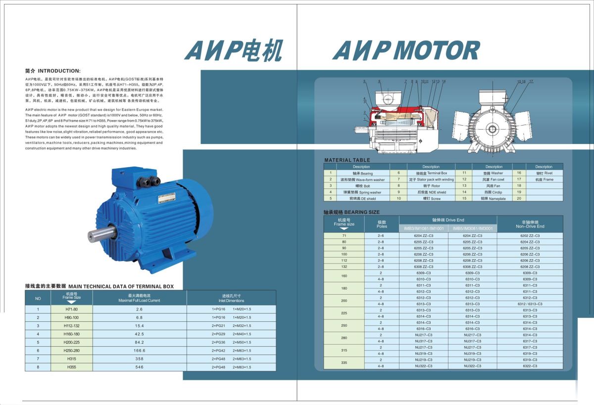 AИP GOST STANDARD SERIES THREE PHASE ELECTRIC MOTOR