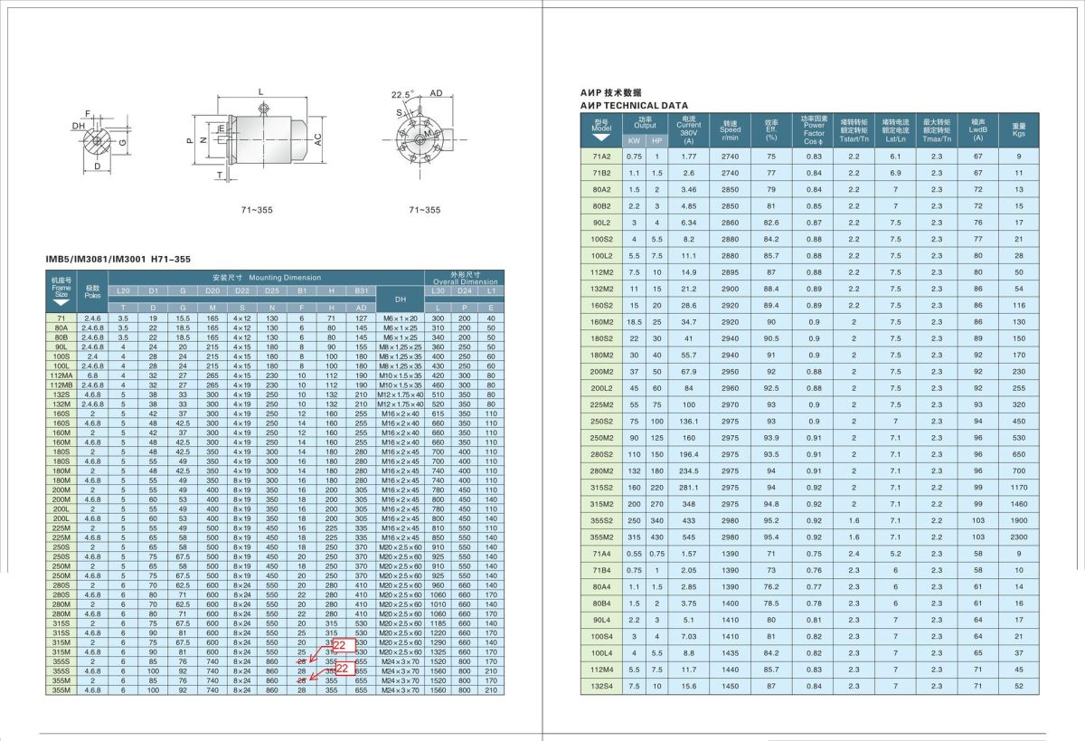 AИP GOST STANDARD SERIES THREE PHASE ELECTRIC MOTOR