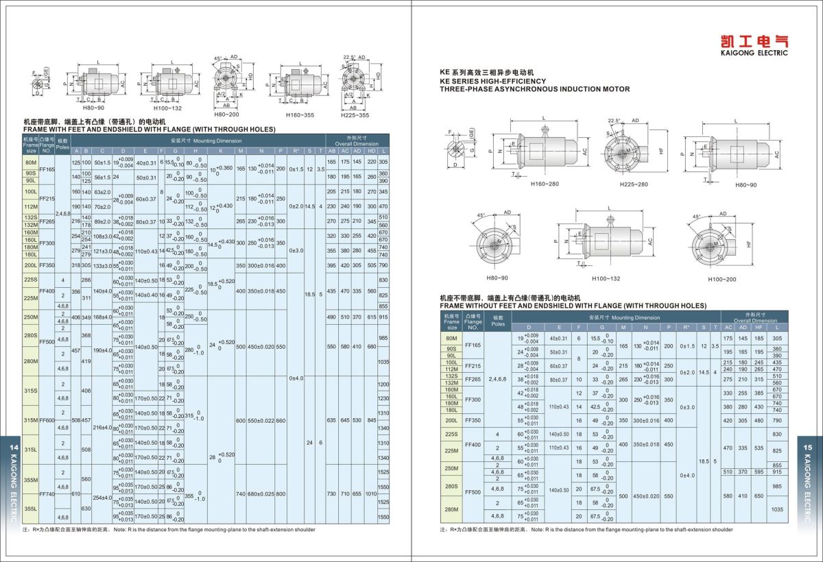 KE SERIES HIGH EFFICIENCY MOTOR