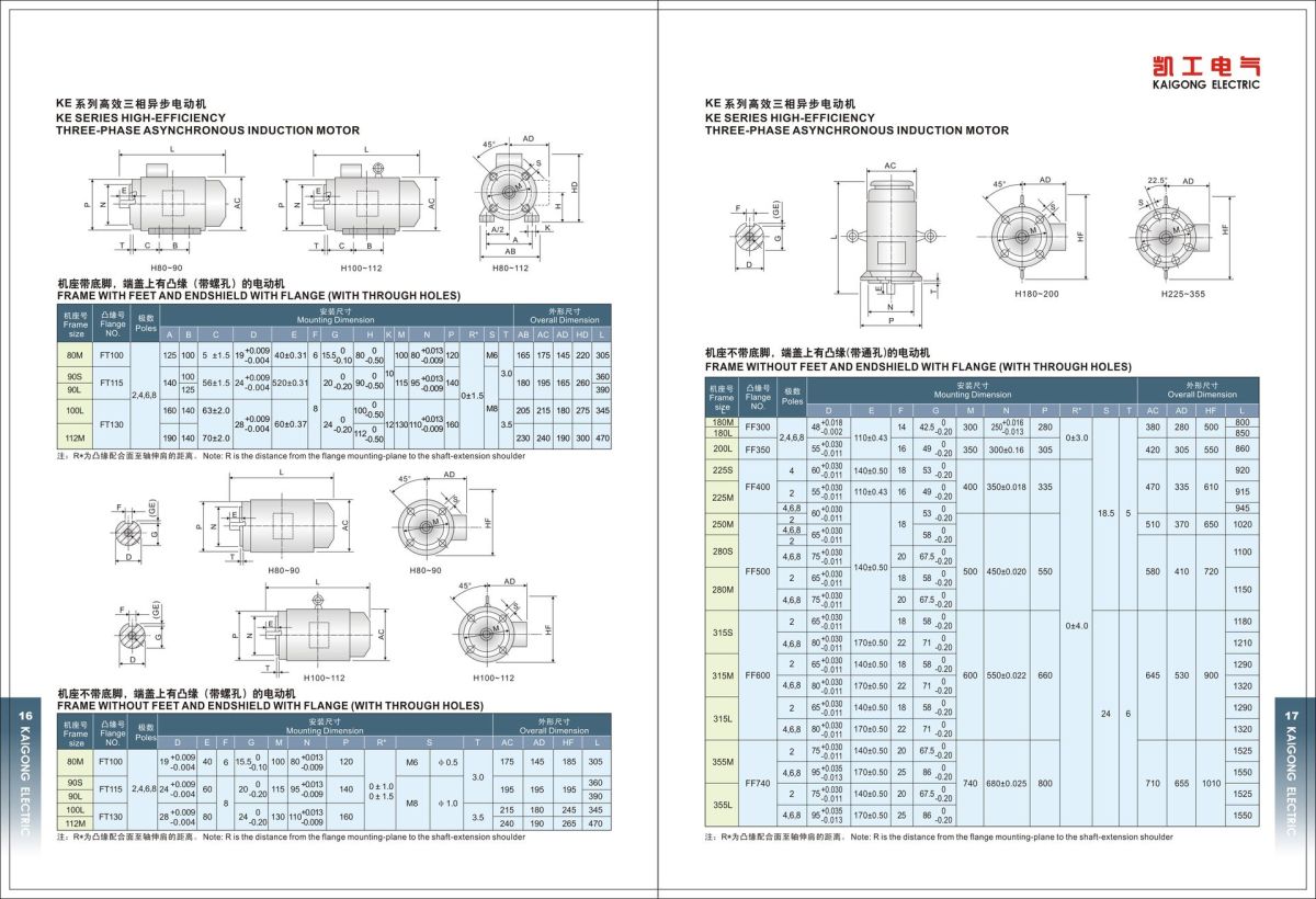 KE SERIES HIGH EFFICIENCY MOTOR