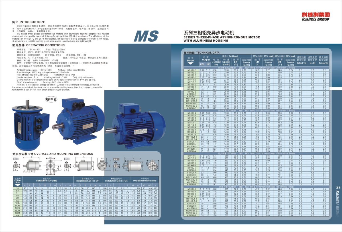 MS SERIES ALUMINUM SHELL THREE-PHASE ASYNCHRONOUS MOTORS